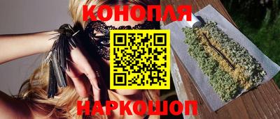 шишки Канаш