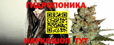 мяу мяу мука Кандалакша