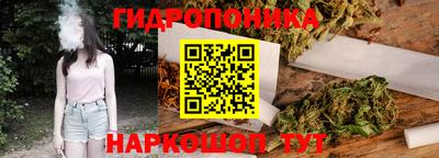 мяу мяу мука Кандалакша
