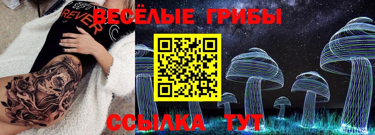 Южно-Сахалинск  Псилоцибиновые грибы прущие грибы  Вход с VPN 